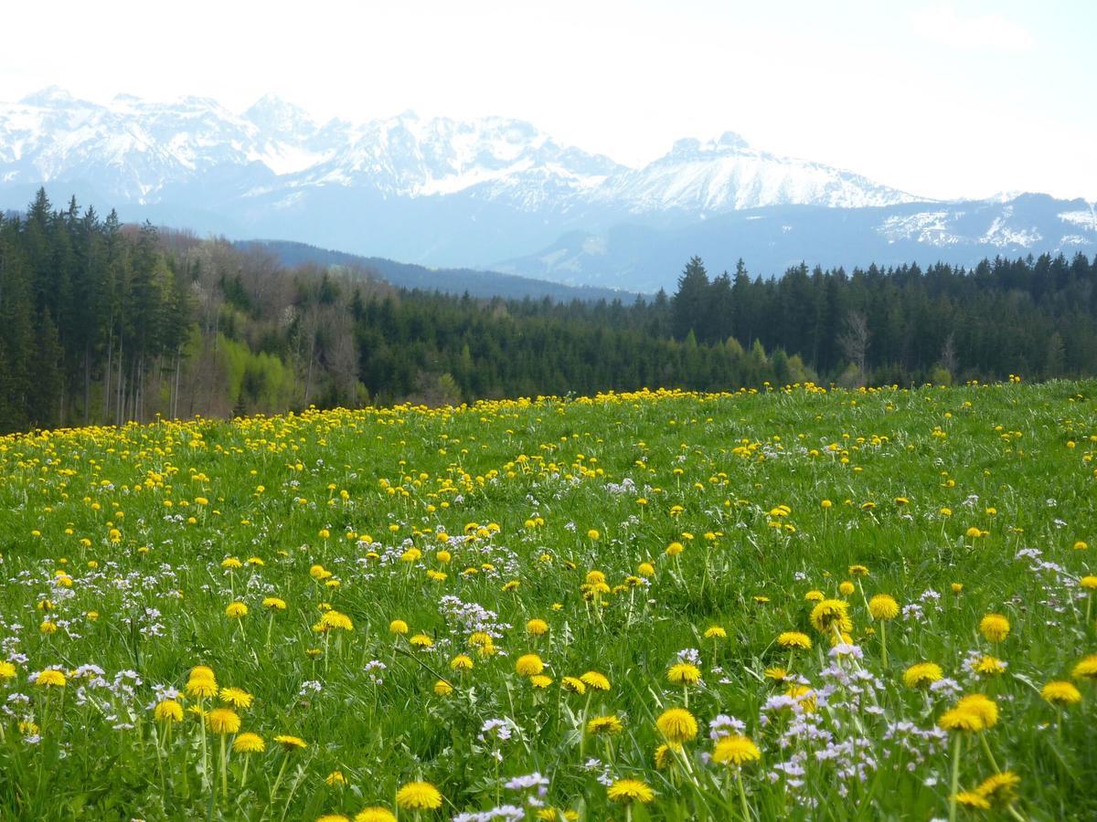 Pension Mittelallgaeu Betzigau Exteriör bild