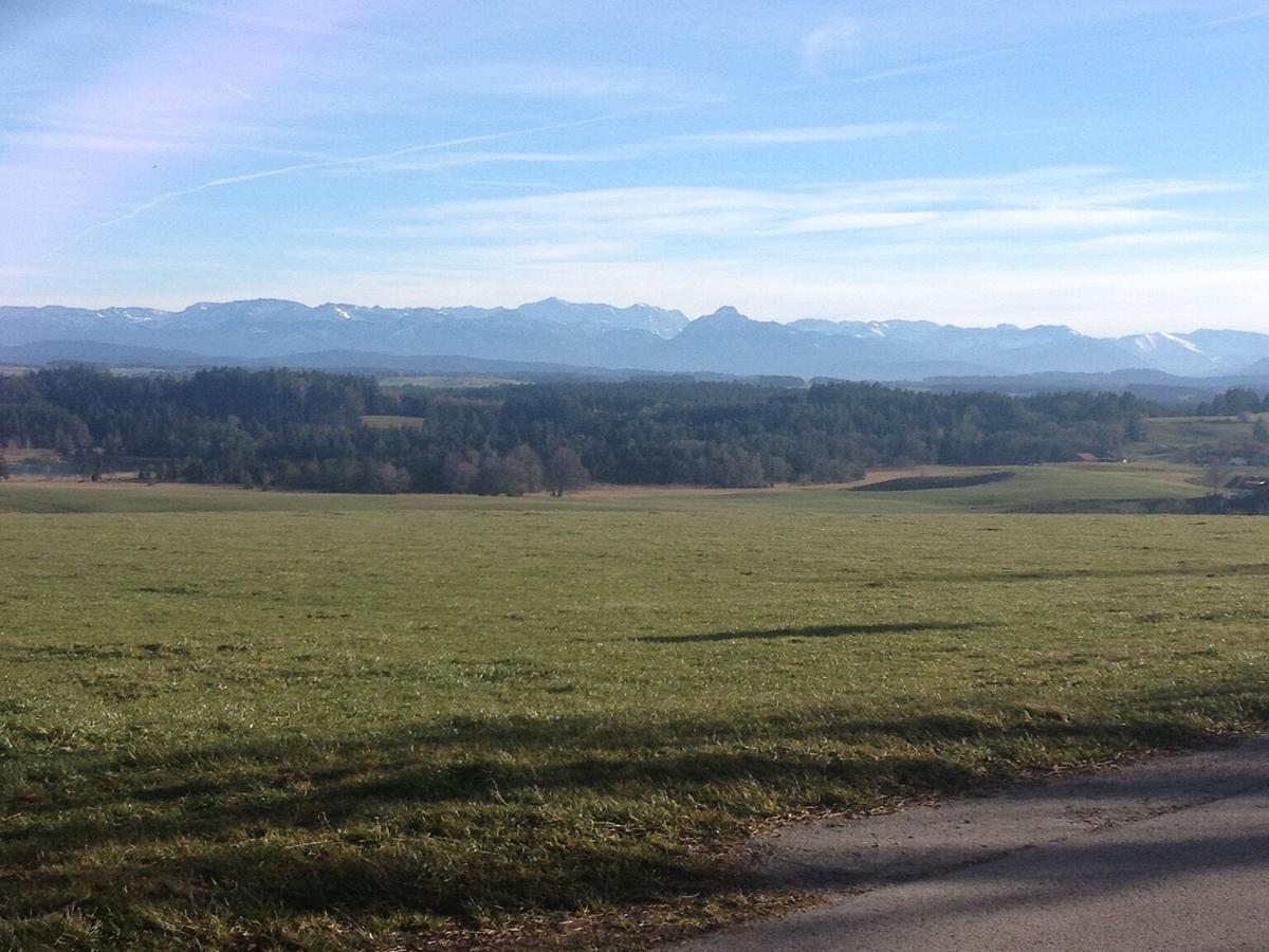 Pension Mittelallgaeu Betzigau Exteriör bild